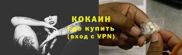 ГАЛЛЮЦИНОГЕННЫЕ ГРИБЫ Верея