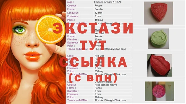 ГАЛЛЮЦИНОГЕННЫЕ ГРИБЫ Верея