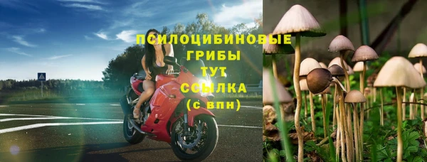 ГАЛЛЮЦИНОГЕННЫЕ ГРИБЫ Верея