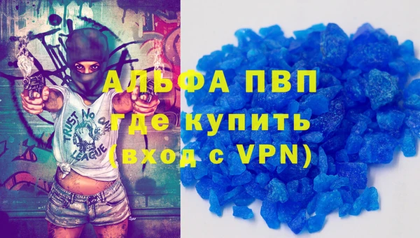 ГАЛЛЮЦИНОГЕННЫЕ ГРИБЫ Верея