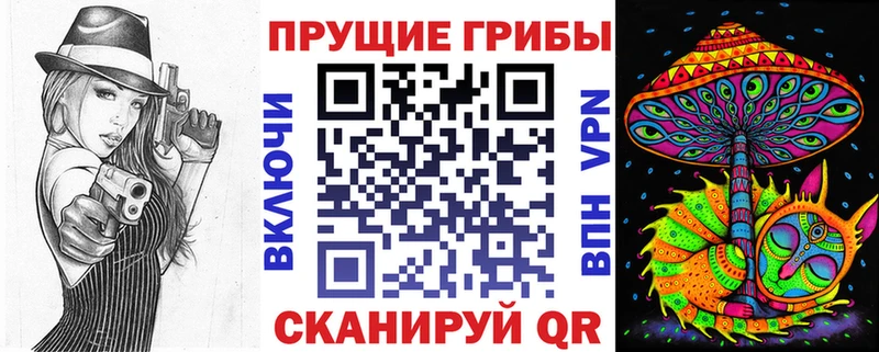 Купить  Верея  Псилоцибиновые грибы Psilocybe 