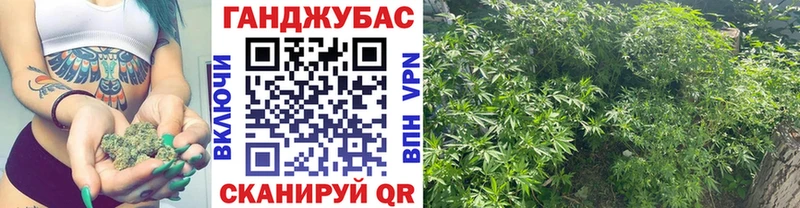 Купить  Верея  Шишки марихуана семена 